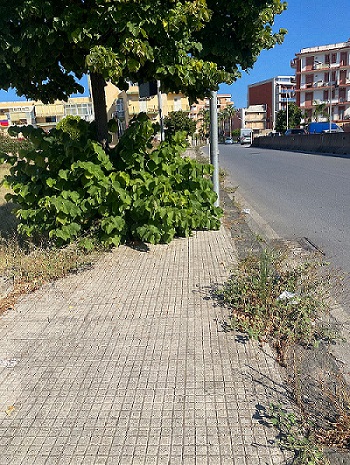 Milazzo (ME) – Maisano interviene sul degrado del marciapiedi all’asse viario