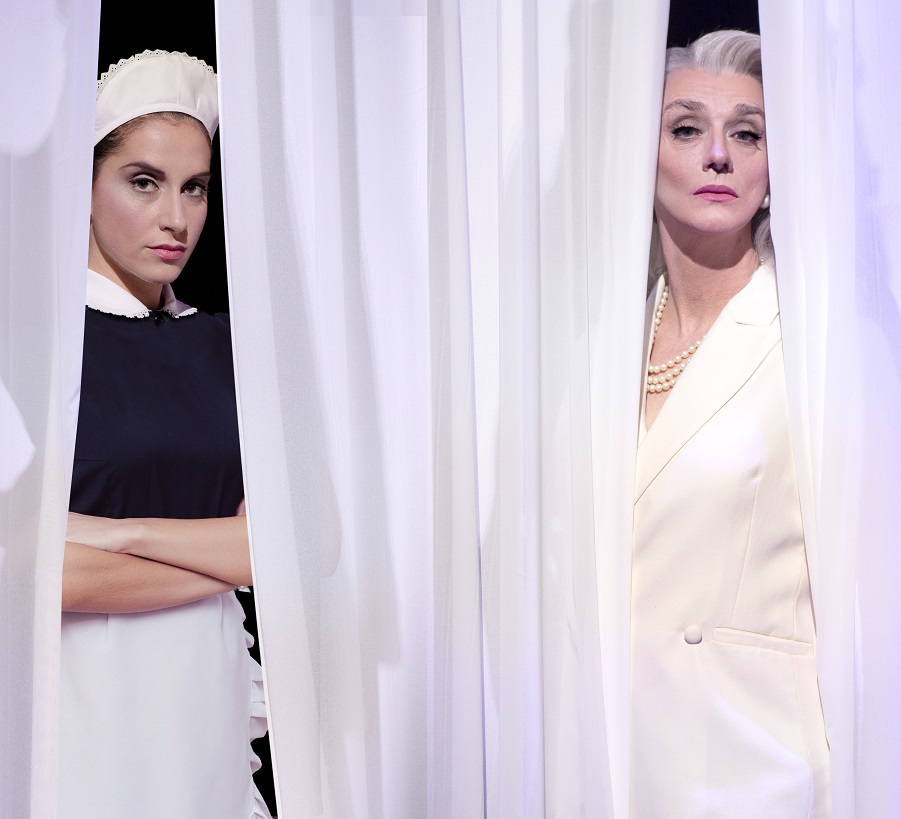 DRUSILLA FOER E “VENERE NEMICA”: un mito rivisitato tra ironia e profondità