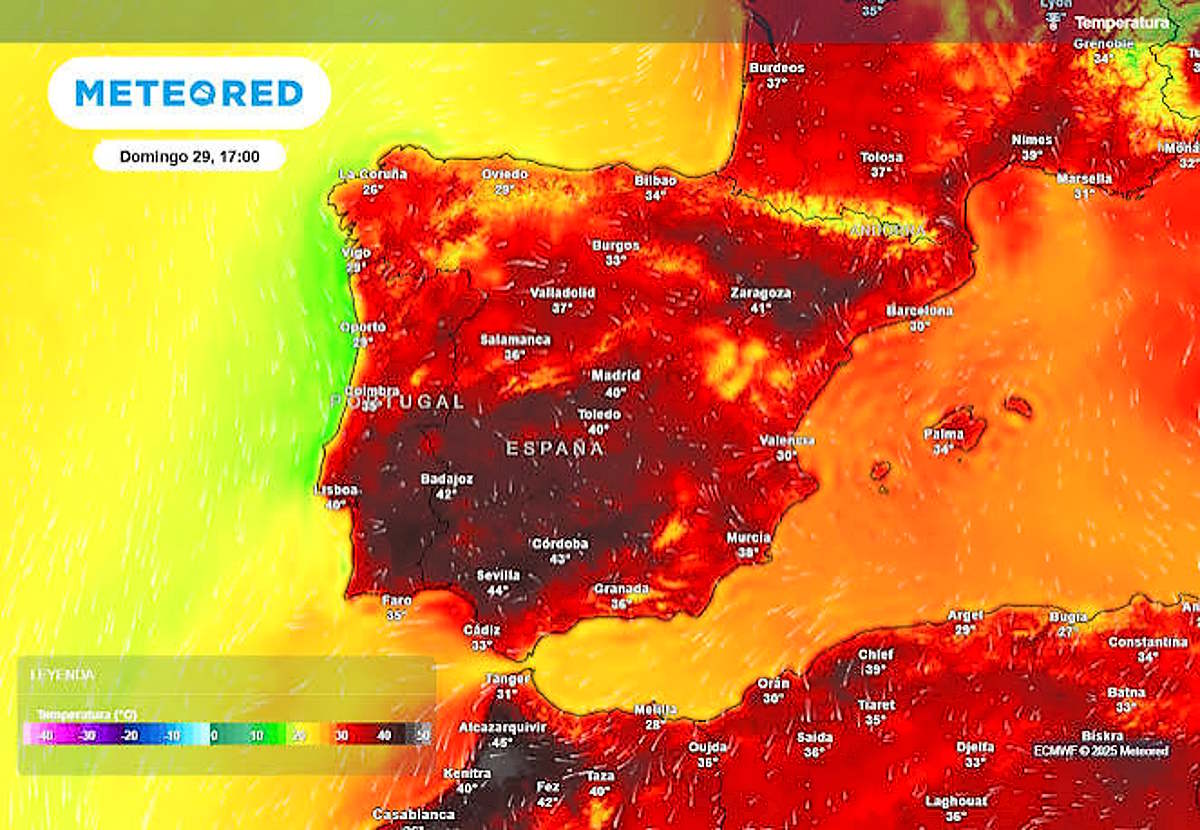 Caldo estremo, l'Oms Europa lancia l'allarme: nuova ondata in arrivo e riunione d'emergenza con 41 Paesi. Non è più un fenomeno meteorologico, ma una vera emergenza sanitaria